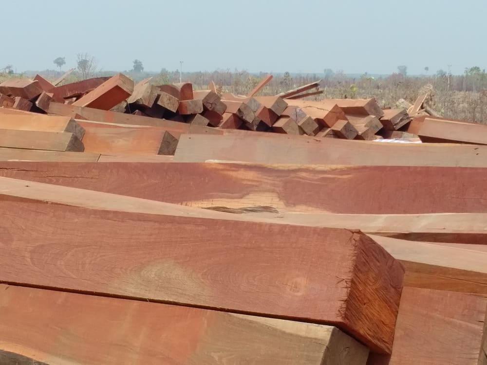 Gỗ căm xe bao nhiêu tiền 1 khối?