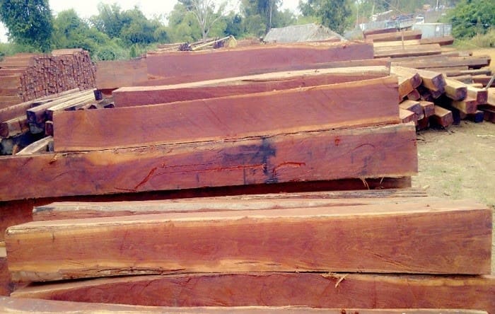 Gỗ căm xe là gỗ gì