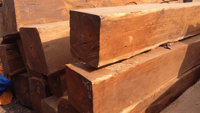 Đặc điểm gỗ căm xe