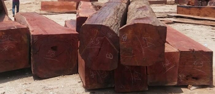 Gỗ gụ là gì có tốt không