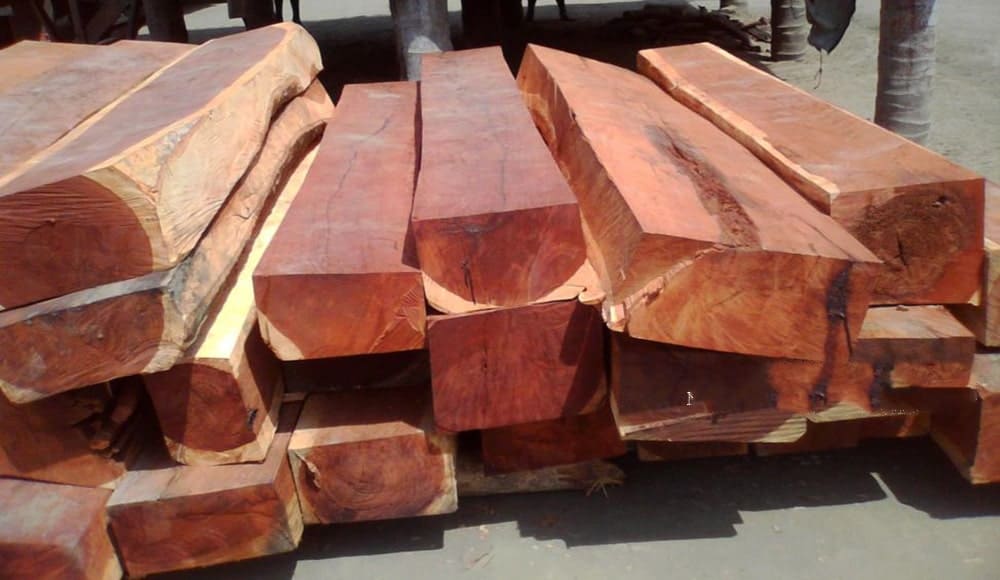So sánh gỗ hương lào và hương nam phi