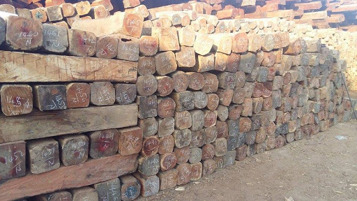 Gõ hương xám có bị mối mọt không