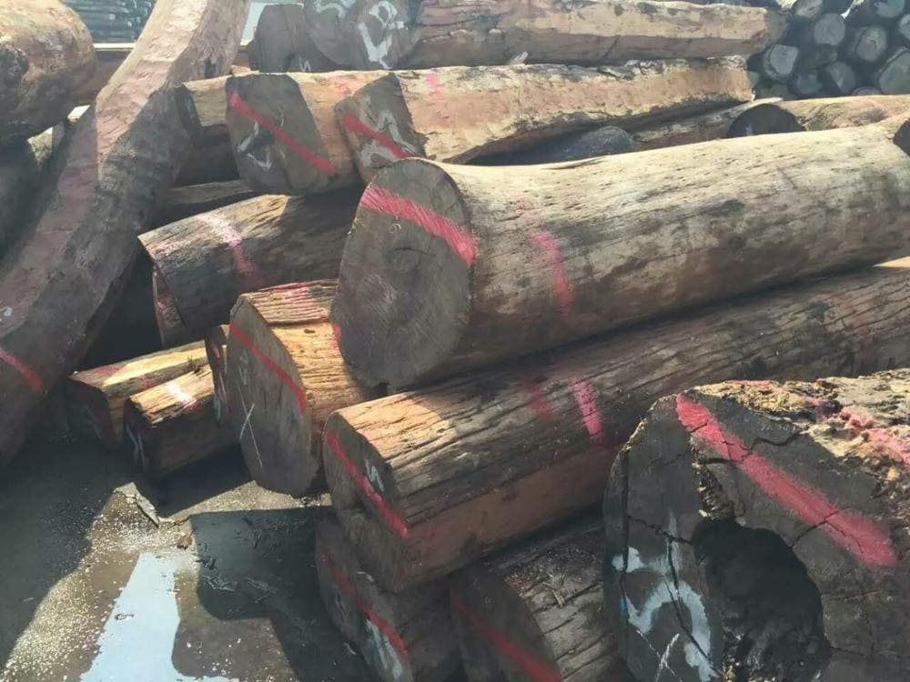 Gỗ hương xám là gỗ gì