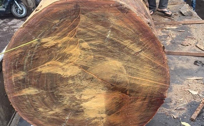 Gỗ Lim thuộc nhóm II trong danh sách phân loại gỗ