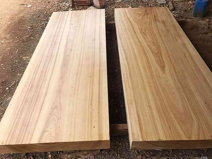 Những đặc điểm nổi bật của gỗ Sao