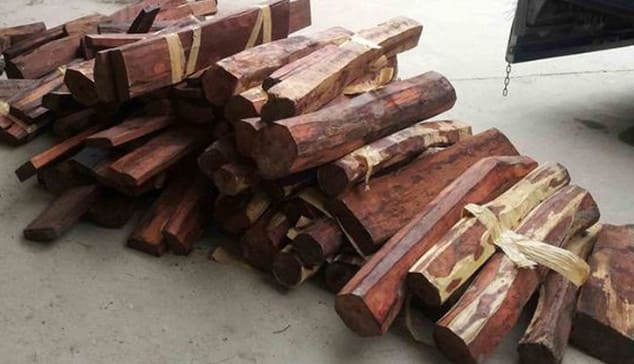 Đặc điểm của gỗ trắc