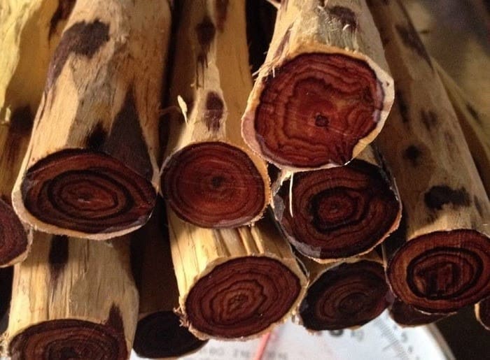 Gỗ trắc là gỗ gì
