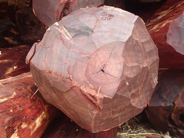 Gỗ vân hương đỏ