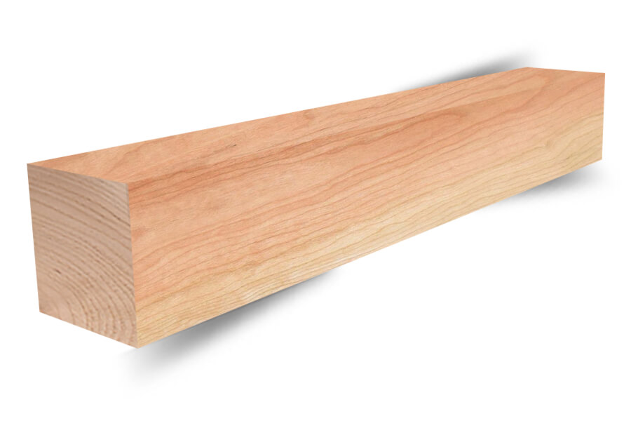 Gỗ xoan đào có bị mối mọt không