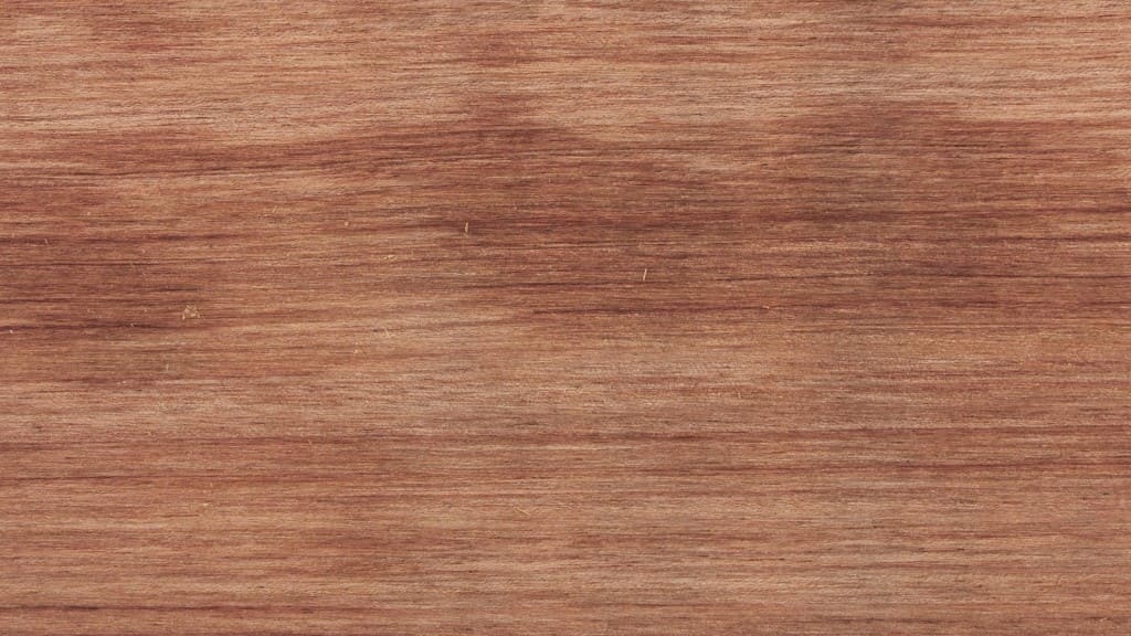 Gỗ bubinga là gỗ gì