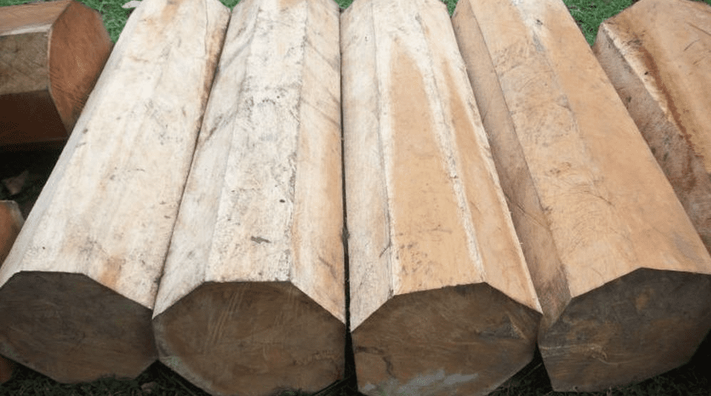 Gỗ mít bao nhiêu tiền một khối