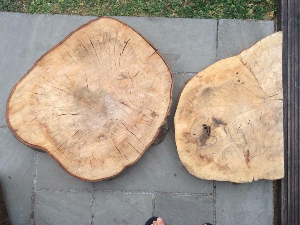 Đặc điểm nổi bật của gỗ beech