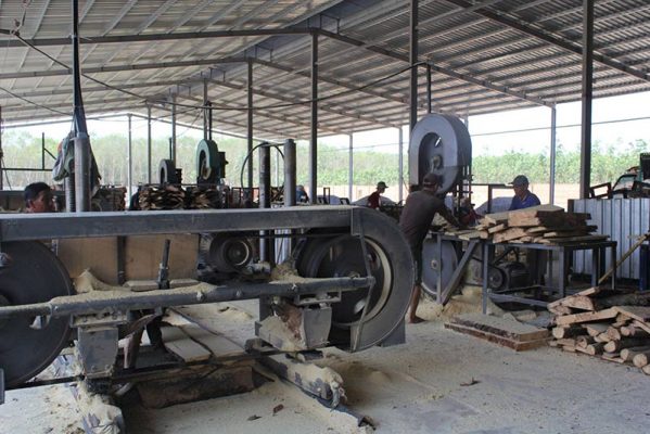 Quy trình sản xuất gỗ cao su xẻ sấy