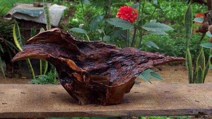 Gỗ Lũa là cây gì