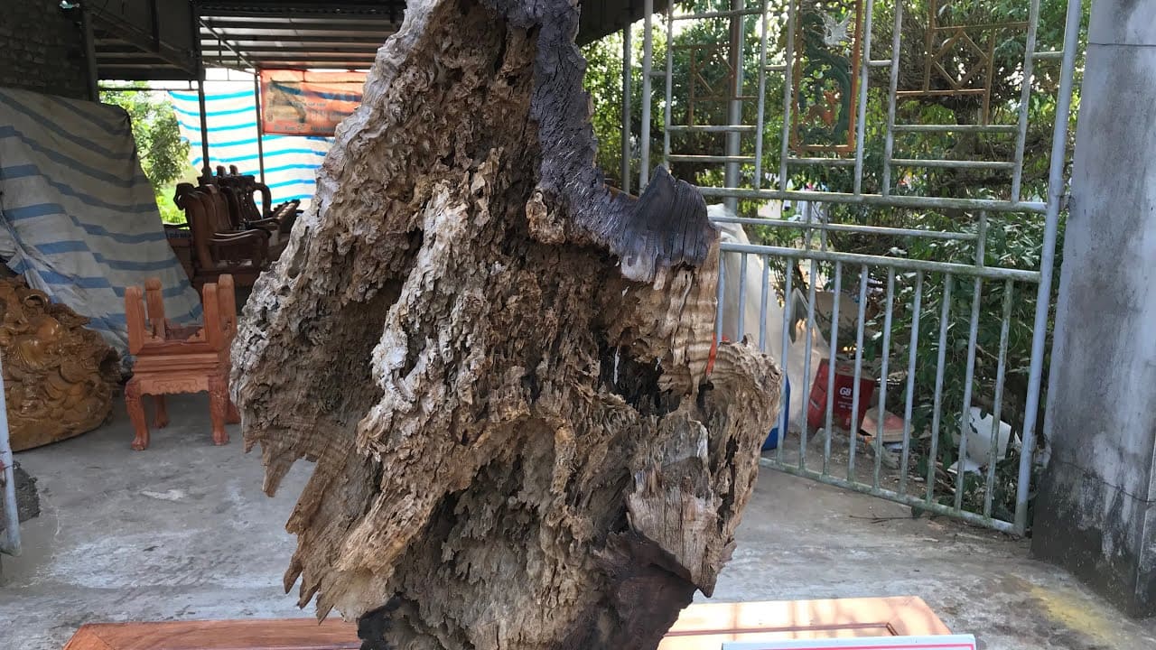 Gỗ lũa tự nhiên