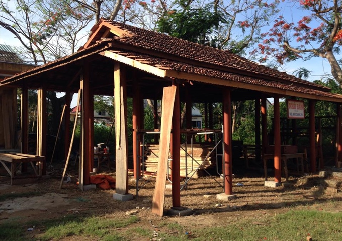 Gỗ táu muối có tốt không