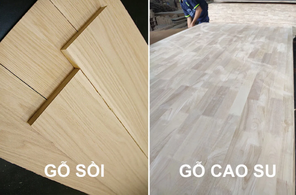 Gỗ sồi và gỗ cao su đều có ưu nhược điểm riêng