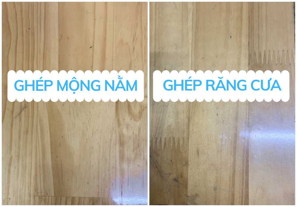 Van ghep cao su mong nam mong rang cua